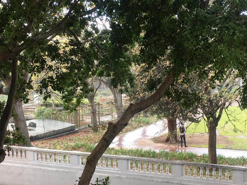 To Let 0 Bedroom Property for Rent in Cape Town City Centre Western Cape